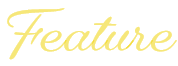 Feature